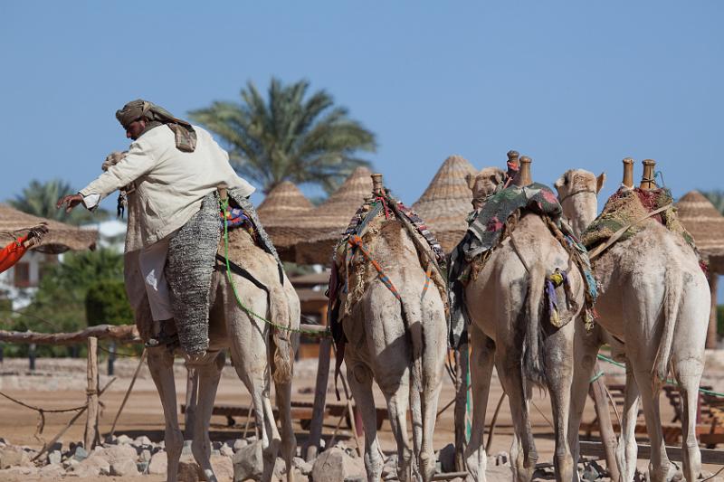 Dahab selectie 2010_01_15 12h19m.jpg - Happy Life Village